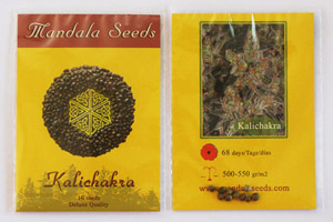 Mandala Seeds packets