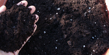 Cannabis Soil Cultivation